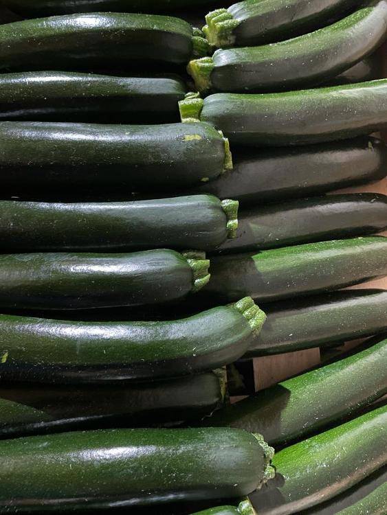 Courgette Bio